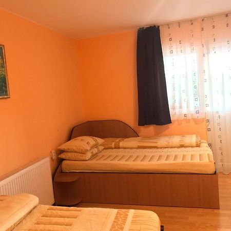 Pensiunea Colt De Rai Săcel Esterno foto