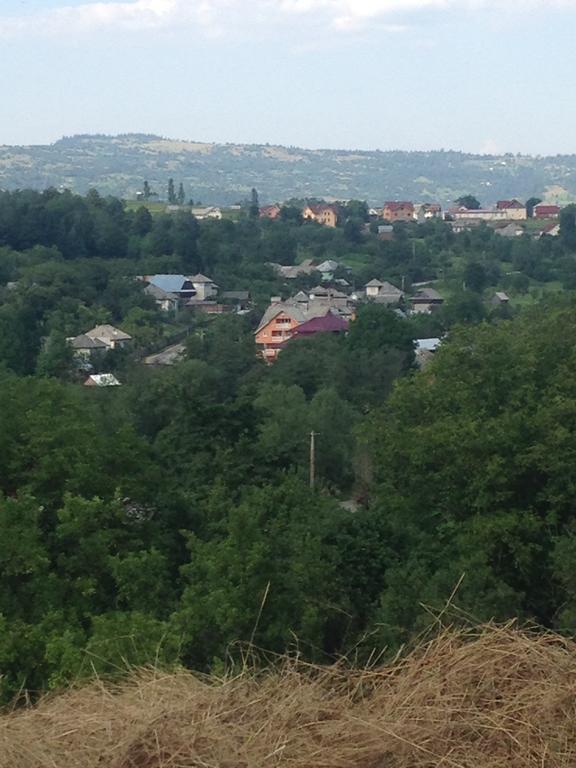Pensiunea Colt De Rai Săcel Esterno foto