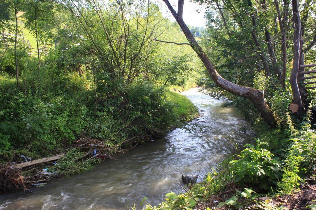 Pensiunea Colt De Rai Săcel Esterno foto