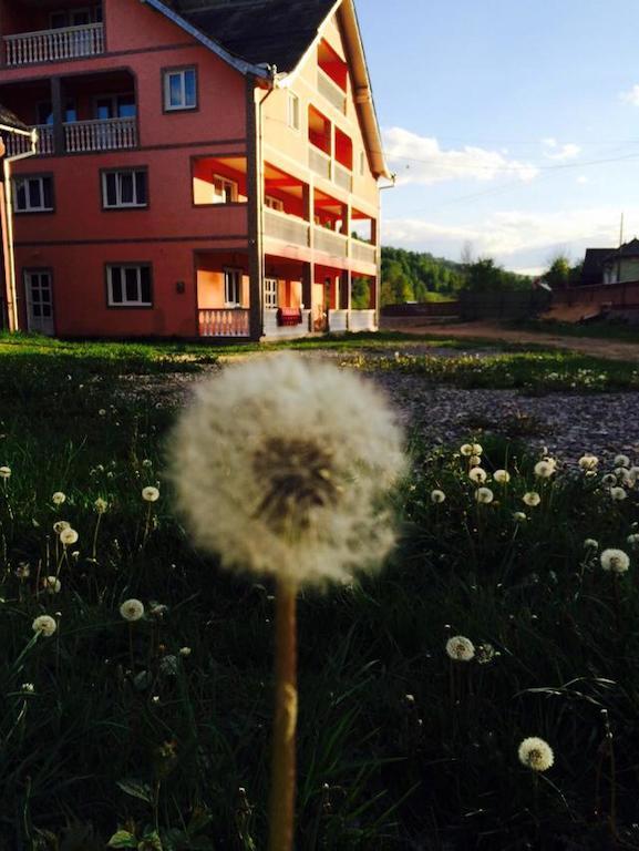 Pensiunea Colt De Rai Săcel Esterno foto