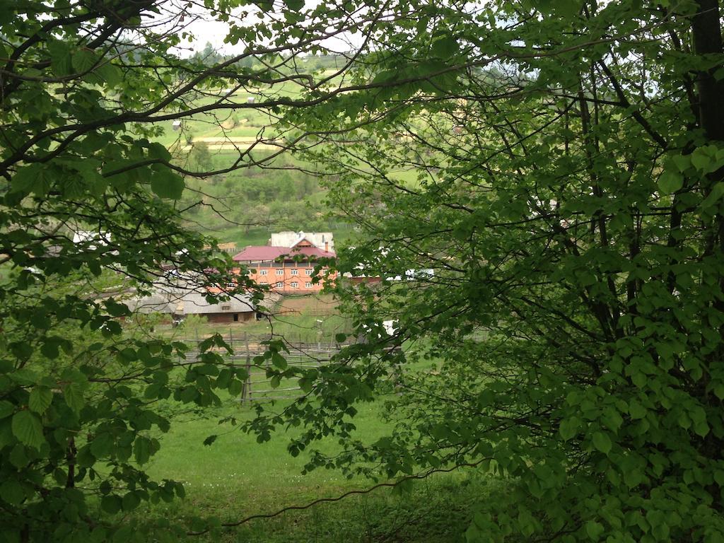 Pensiunea Colt De Rai Săcel Esterno foto