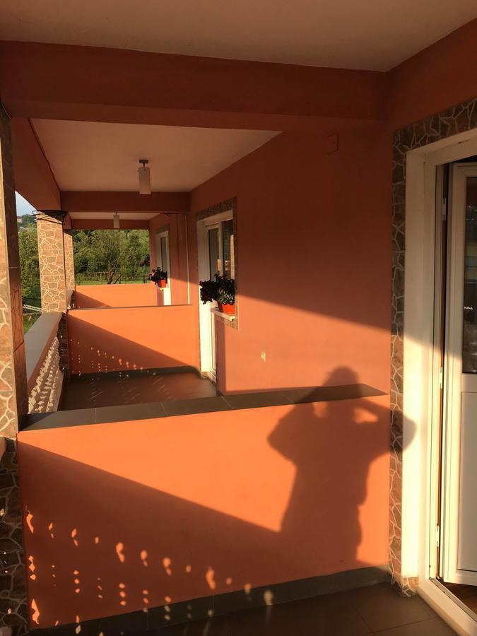 Pensiunea Colt De Rai Săcel Esterno foto