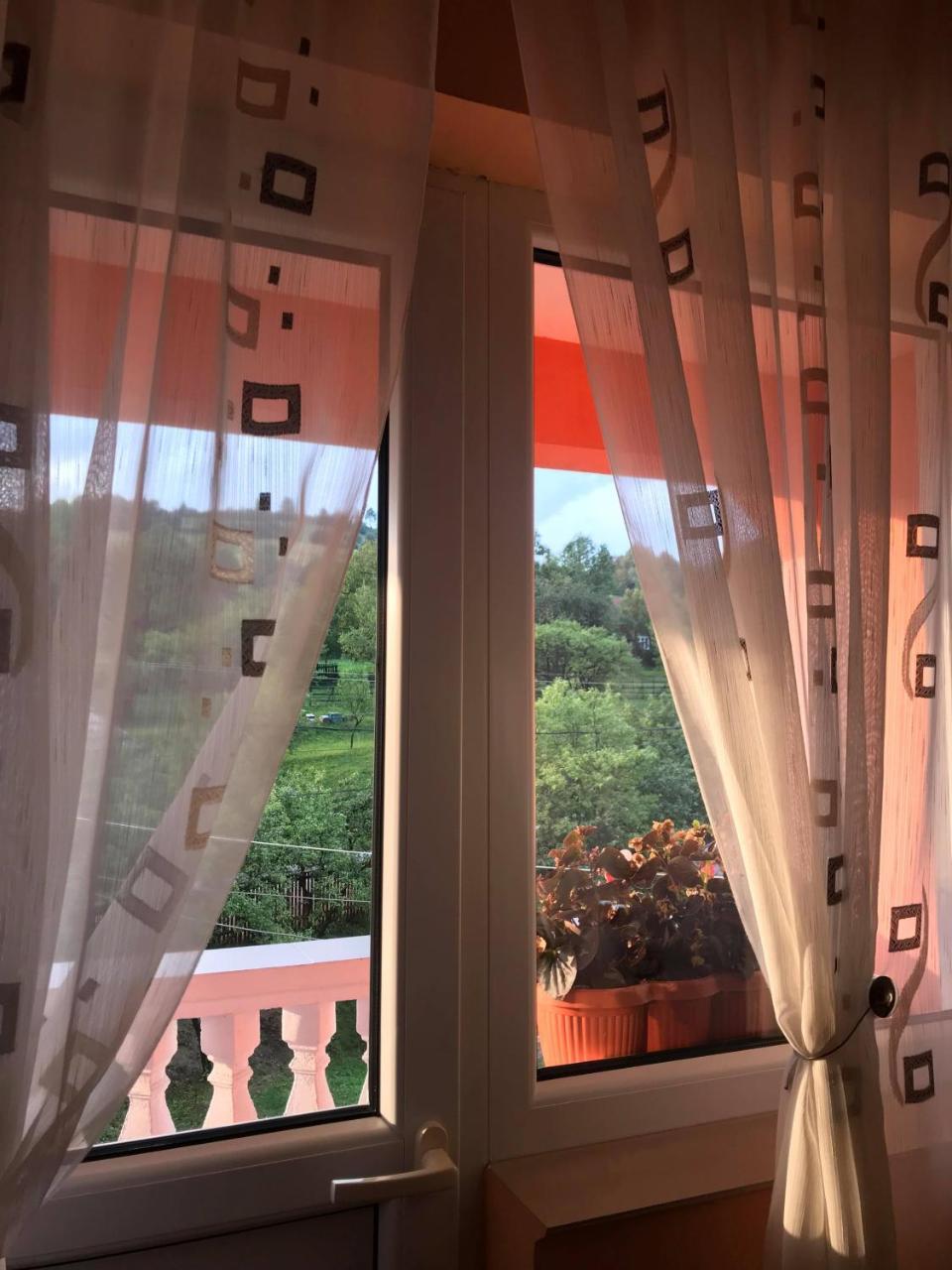 Pensiunea Colt De Rai Săcel Esterno foto