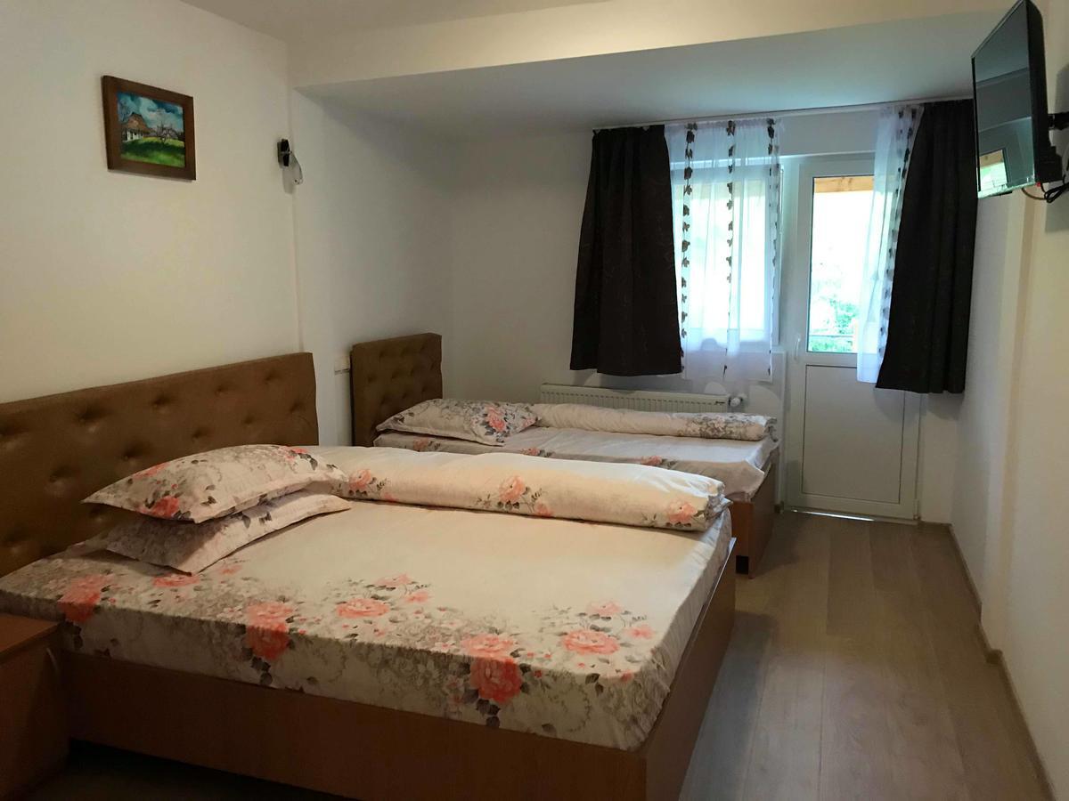 Pensiunea Colt De Rai Săcel Esterno foto