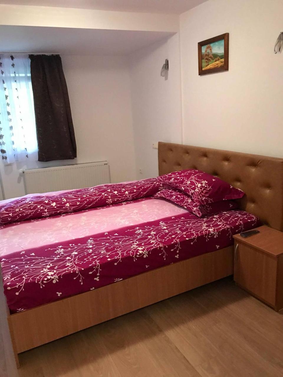 Pensiunea Colt De Rai Săcel Esterno foto