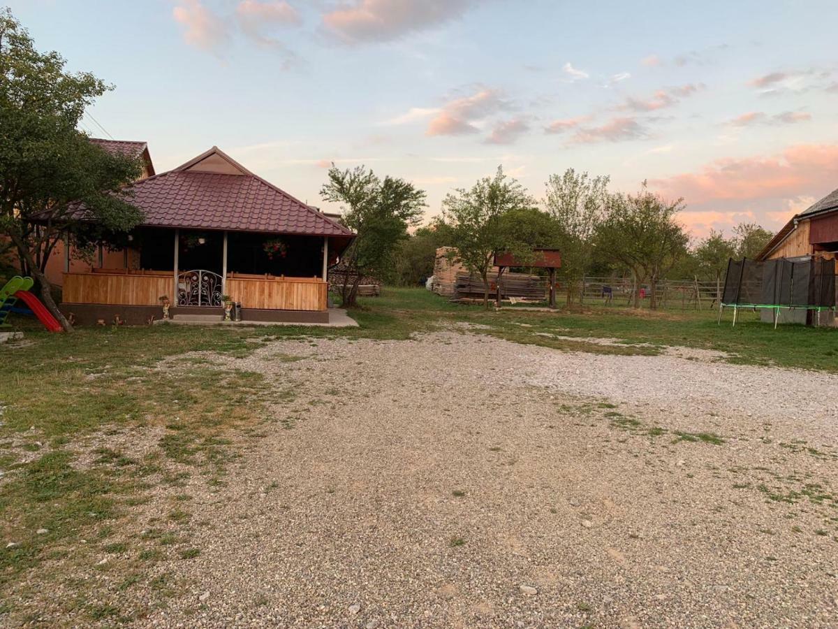 Pensiunea Colt De Rai Săcel Esterno foto