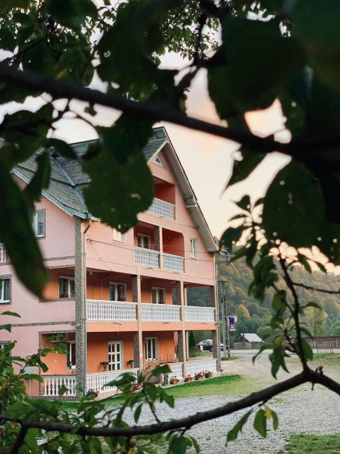 Pensiunea Colt De Rai Săcel Esterno foto